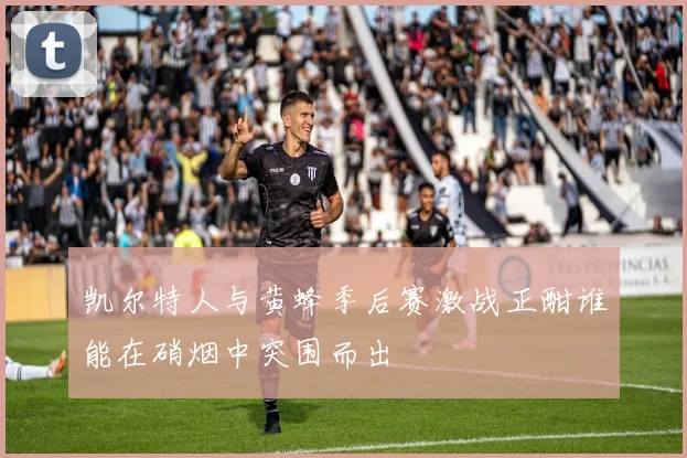 凯尔特人与黄蜂季后赛激战正酣谁能在硝烟中突围而出